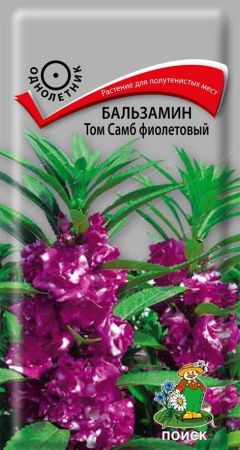 Бальзамин Том Самб фиолетовый, семена Поиск 0,1г