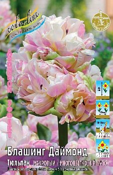 Тюльпан Блашинг Даймонд Tulipa Blushing Diamond 11/12 2шт, капер, Колорлайн