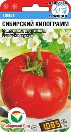 Томат Сибирский килограмм, семена Сибирский сад 20шт