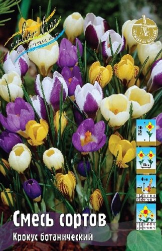 Крокус Смесь ботанических сортов Crocus botanical Mixed 5/7 10шт, капер, Колорлайн