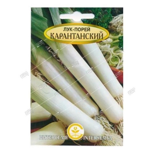 Лук-порей Карантанский, семена Интерсемя 0,3г
