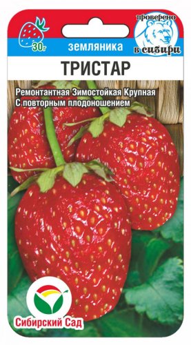 Клубника Тристар, семена Сибирский сад 10шт