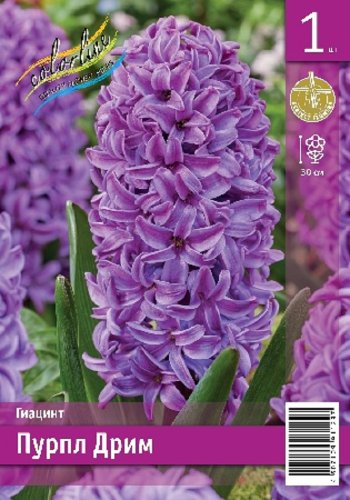 Гиацинт Пурпл Дрим Hyacinthus Purple Dream 14/15 3шт, капер, Колорлайн