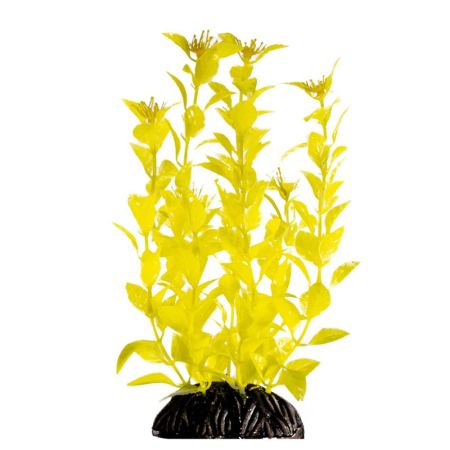 растение "людвигия" ярко-желтая, 200мм, laguna