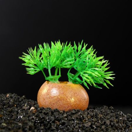 растение искусственное аквариумное на камне, 5*4*7см, пижон аква 
