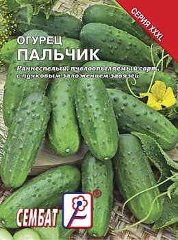 Огурец Пальчик, семена Интерсемя XXXL 5г