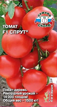 Томат Спрут F1, семена Седек 0,03г