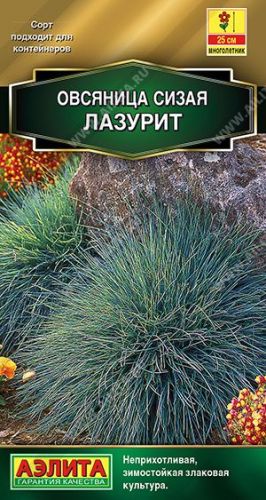 Овсяница сизая Лазурит, семена Аэлита 5шт