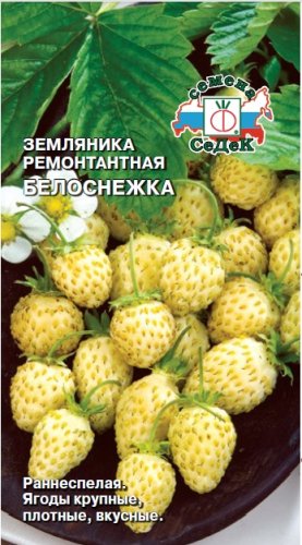 Земляника Белоснежка, семена Седек 0,04г