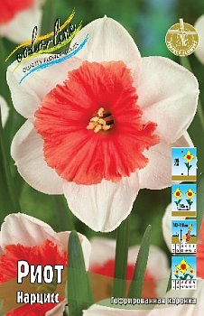 Нарцисс Риот Narcissus Riot 12/14 2шт, капер, Колорлайн 