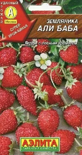 А/земляника Али-Баба ремонт,горшечн * 0,04г