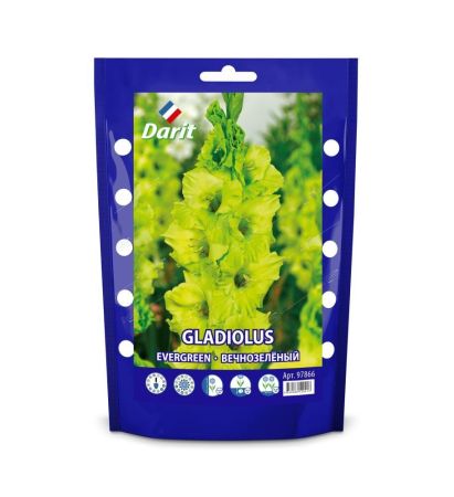 Гладиолус Вечнозелёный Gladiolus Evergreen 14/+, Darit Дой-пак 5шт