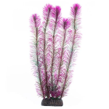 растение "перистолистник" фиолетовый 400мм 